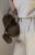 IMG_1686.jpeg