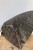 IMG_1894.jpeg
