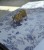 IMG_2381.jpeg