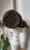 IMG_2648.jpeg