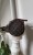 IMG_2649.jpeg