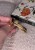 IMG_3045.jpeg