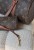 IMG_3281.jpeg