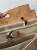 IMG_3565.jpeg