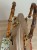 IMG_3798.jpeg