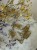 IMG_4030.jpeg