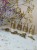 IMG_4034.jpeg