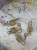 IMG_4041.jpeg