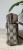 IMG_0491.jpeg
